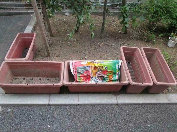 家庭菜園もできます